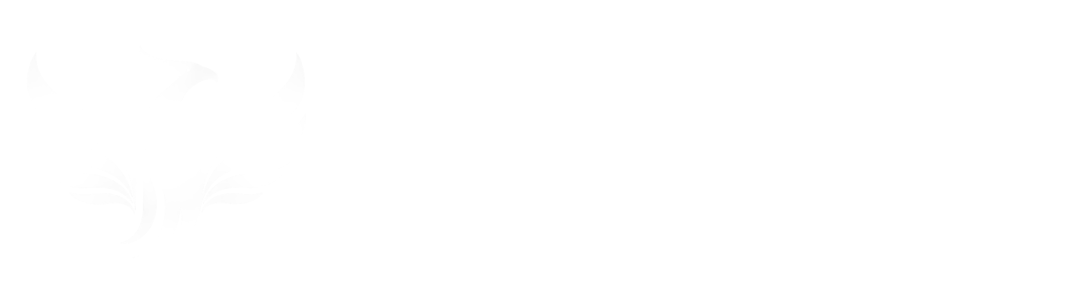 Anatolian Express